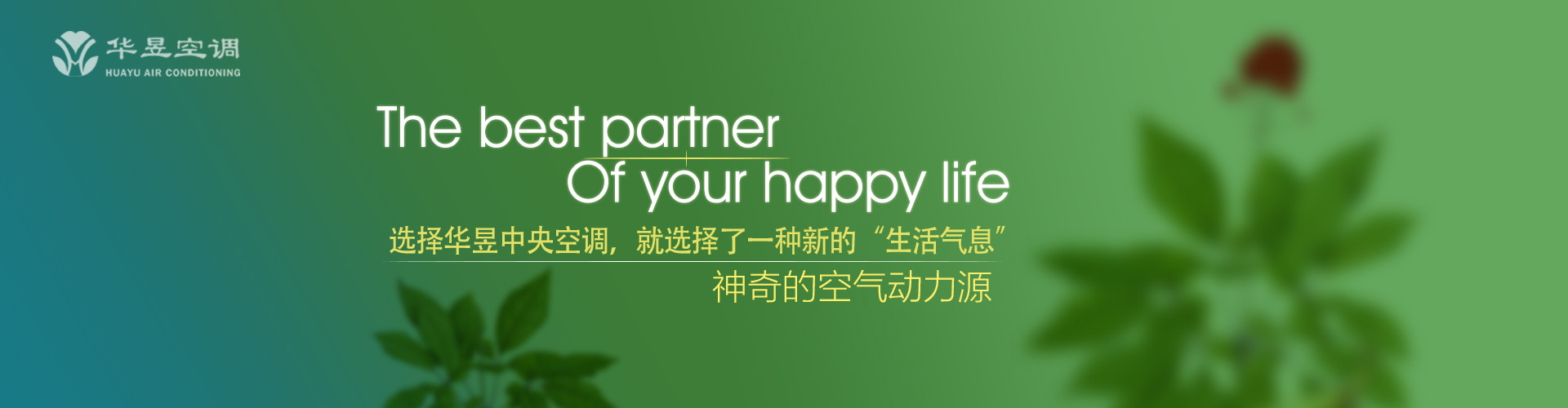 风姿绰约网